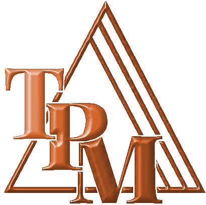 Excellence-opérationnelle-TPM Introduction-OEE-TPM Pilars